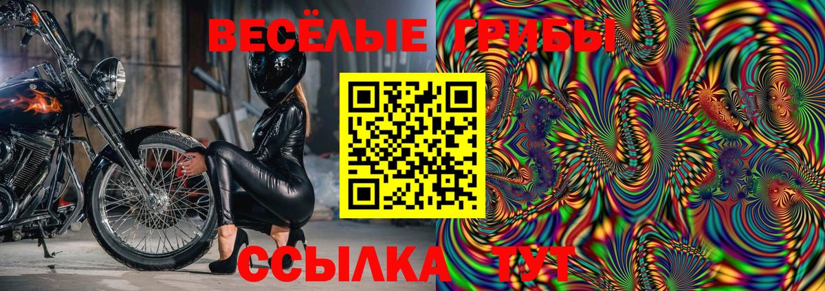 Галлюциногенные грибы Cubensis  Вход с VPN  Можайск 